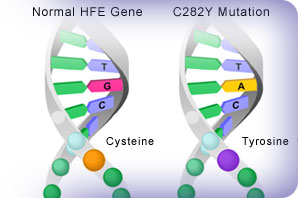 dna